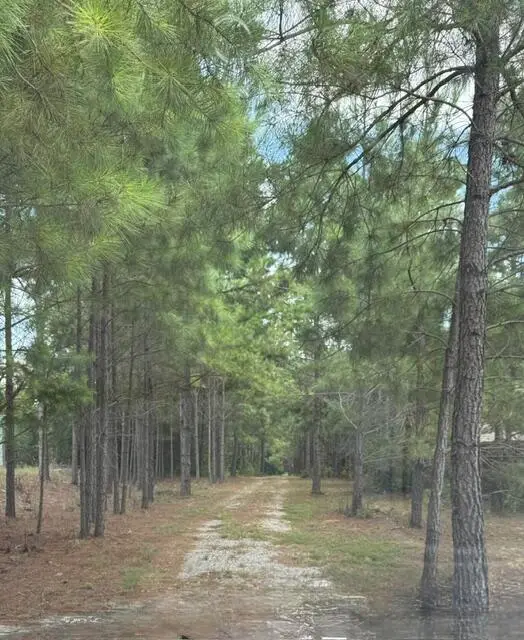 245 Hwy 15, Pontotoc, MS 38863 - #2