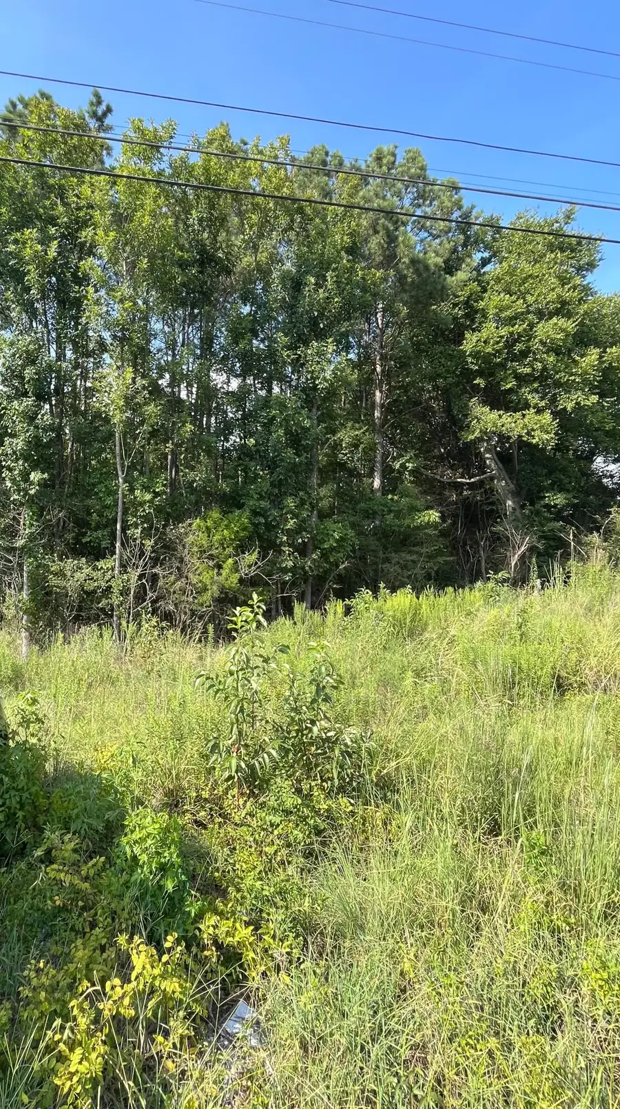 Old Highway 9 N, Blue Springs, MS 38828 - #2