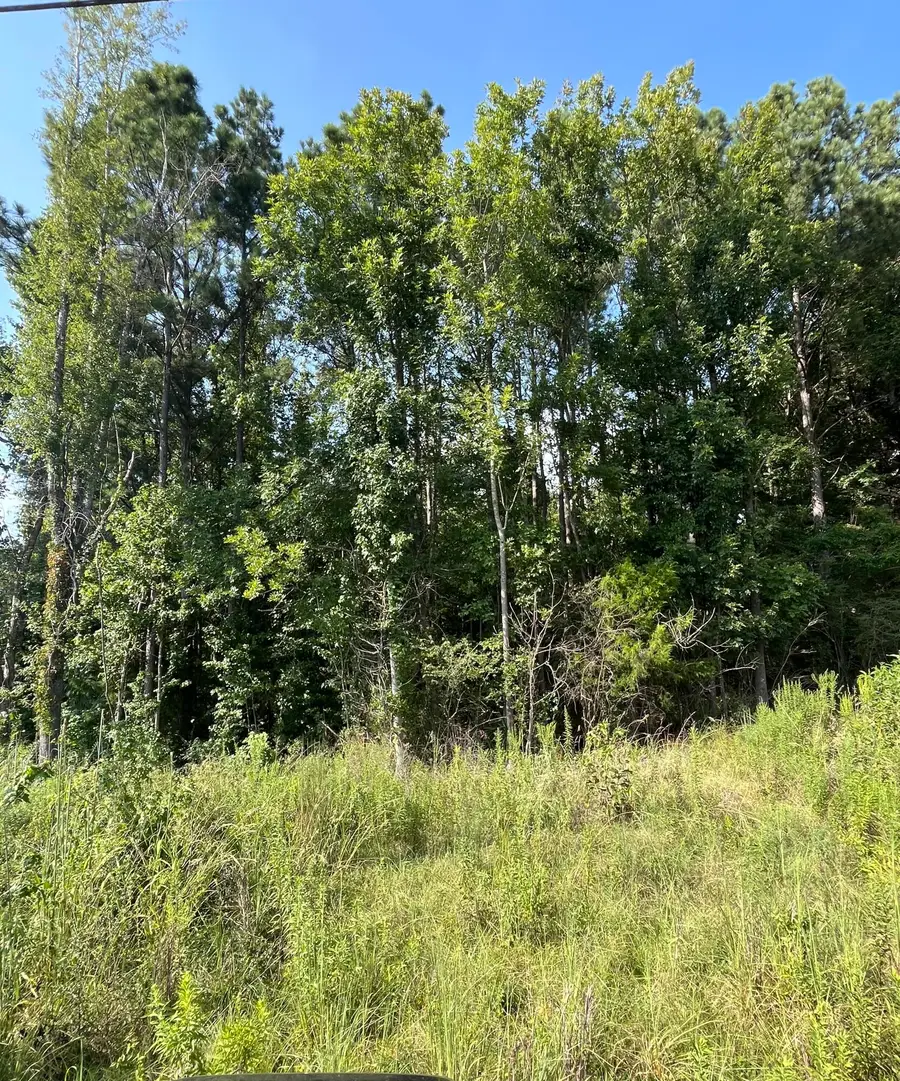 Old Highway 9 N, Blue Springs, MS 38828 - #3