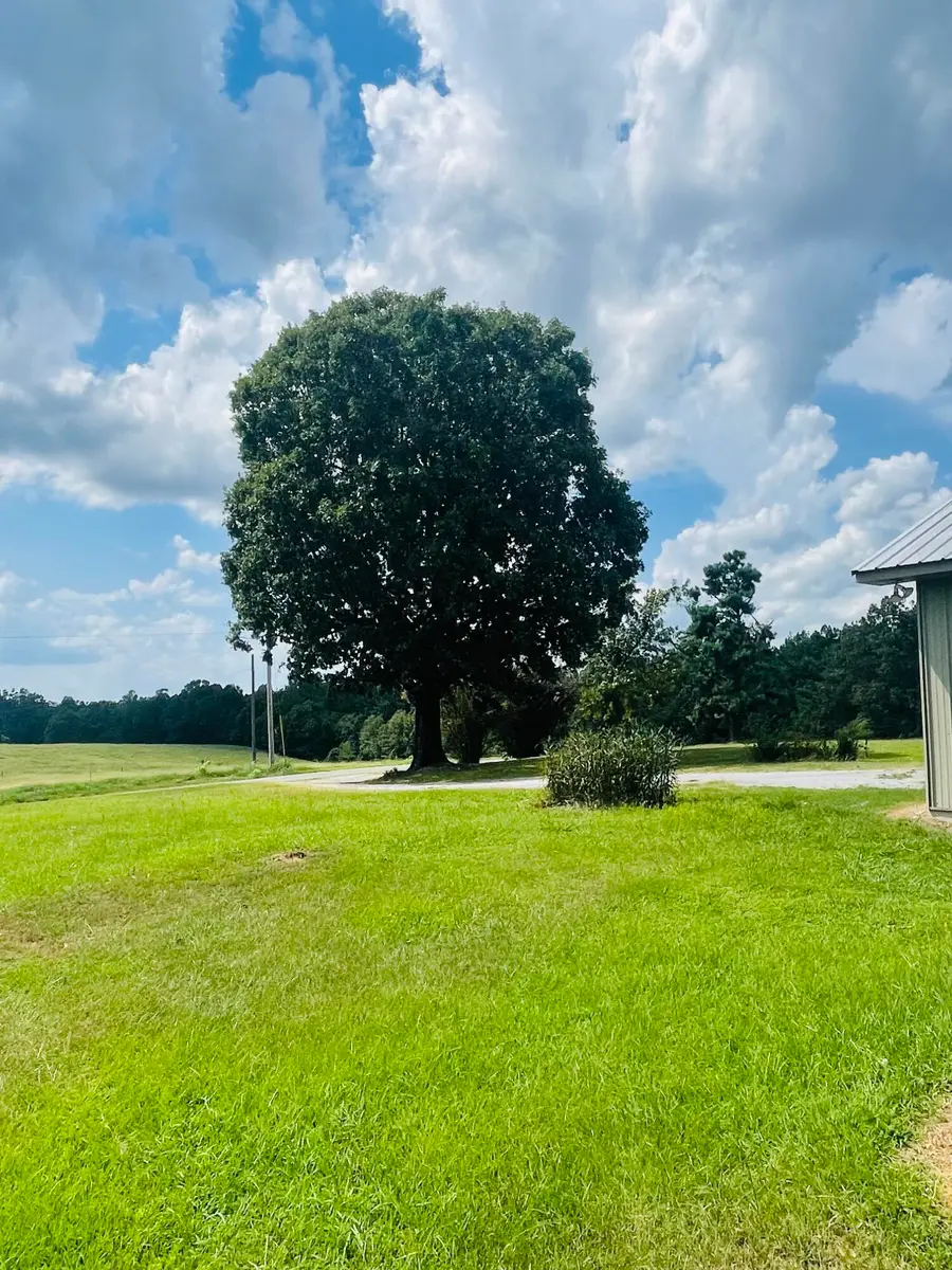 268 County Road 618, Corinth, MS 38834 - #2