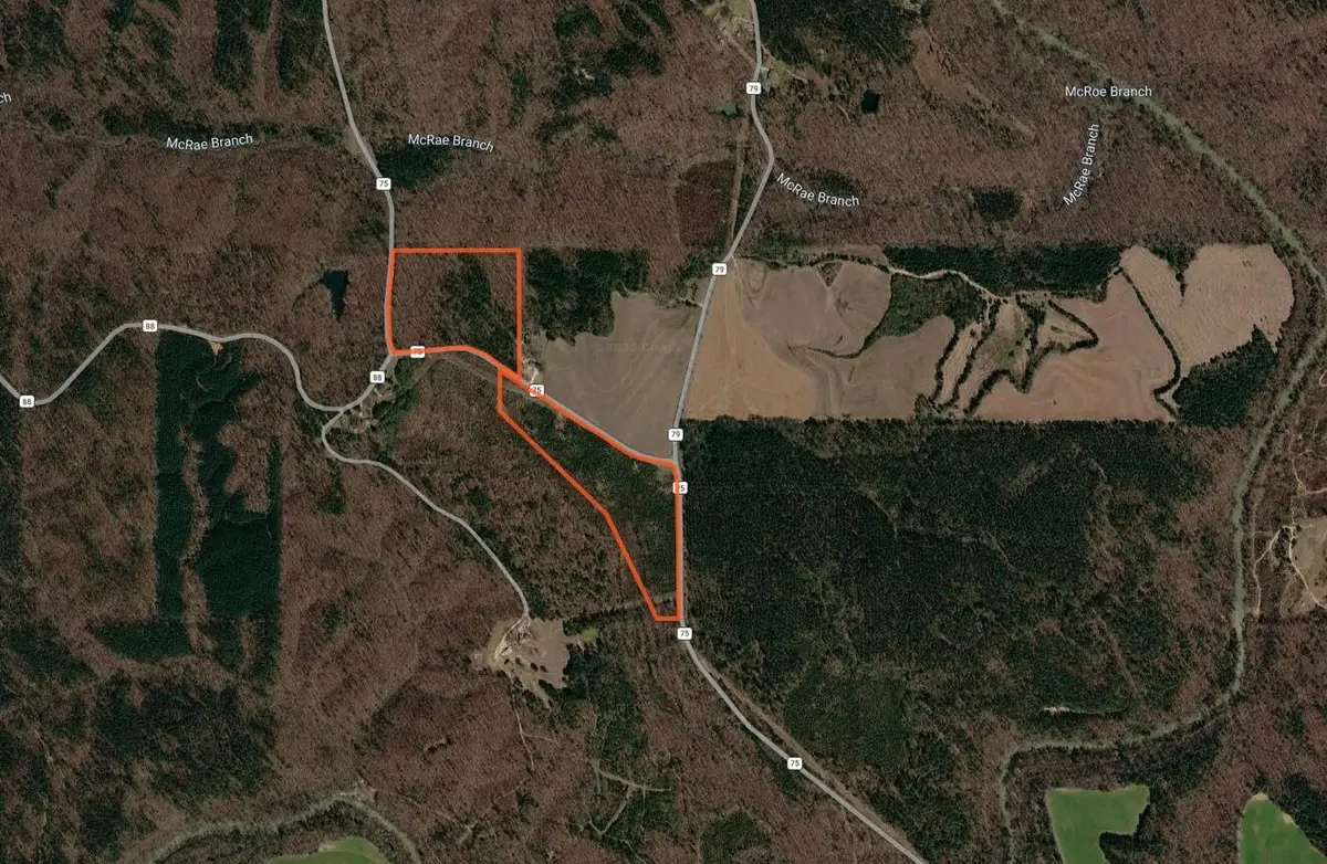 County Road 75, Dennis, MS 38838 - #1