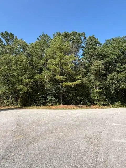 County Road 75, Dennis, MS 38838 - #2