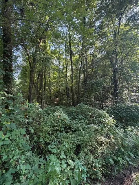 E Graham Road, Iuka, MS 38852 - #2