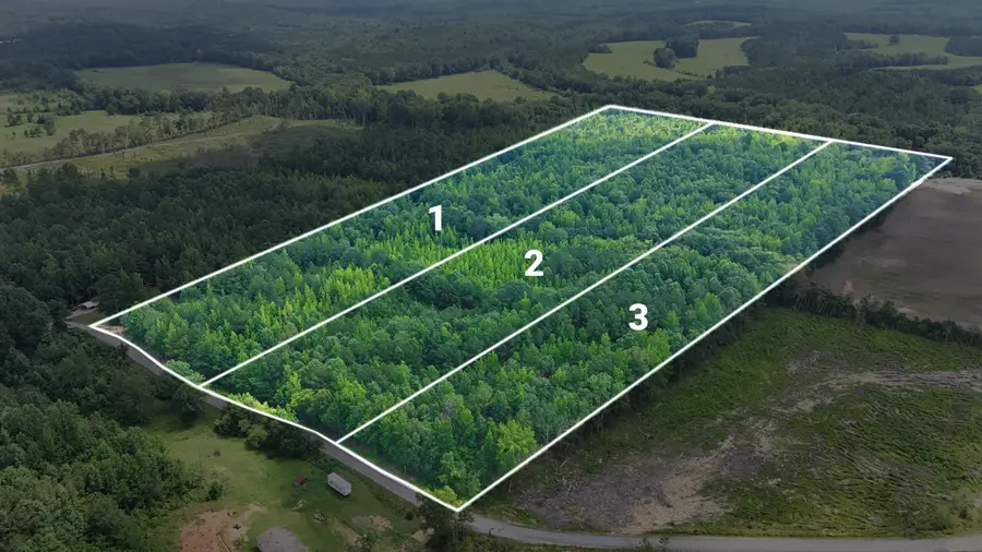 Lot 2 Martin Road, Golden, MS 38847 - #2