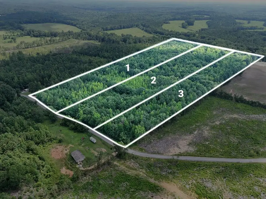 Lot 3 Martin Road, Golden, MS 38847 - #3