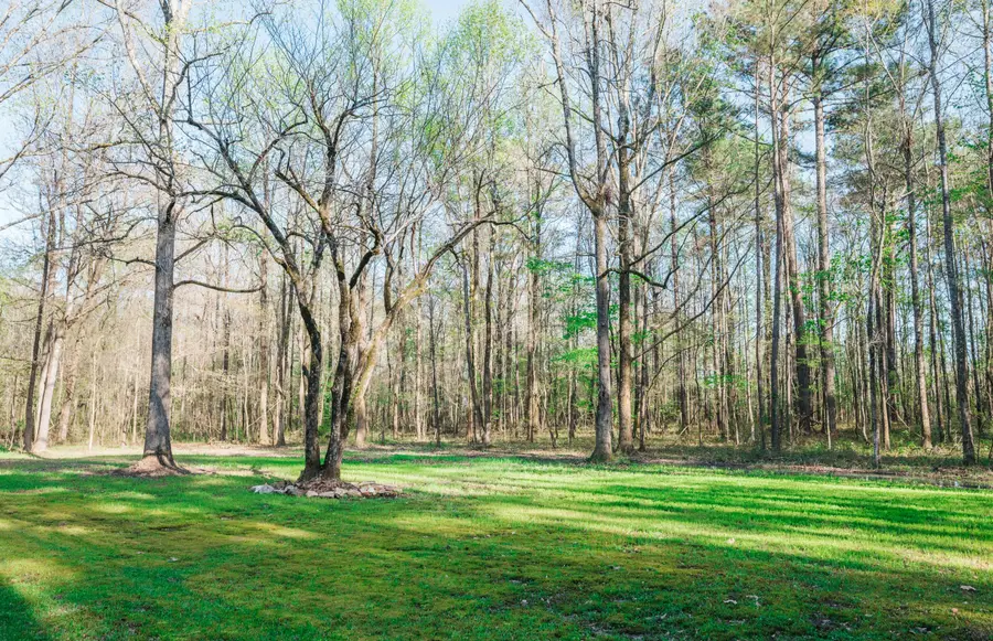 2568 Raymond Williams Road, Sturgis, MS 39769 - #2