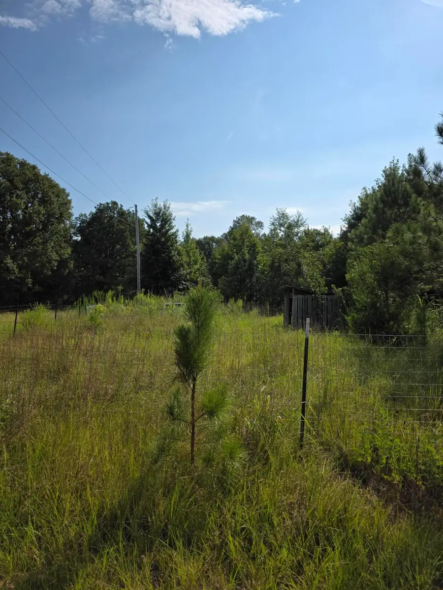 Co Rd 5330, Baldwyn, MS 38824 - #2