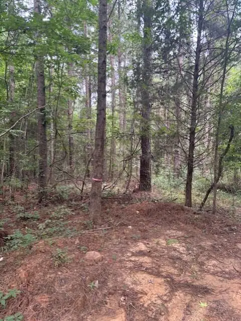 (73.67 Acres) Cr 7515, Baldwyn, MS 38824 - #2
