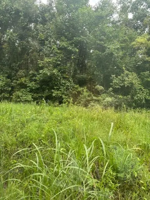 (73.67 Acres) Cr 7515, Baldwyn, MS 38824 - #3
