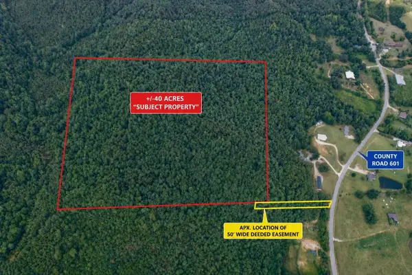 Co Rd 601, Booneville, MS 38829