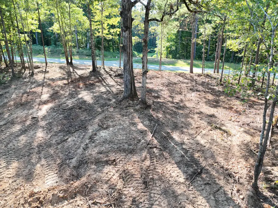 County Road 150, New Albany, MS 38652 - #3