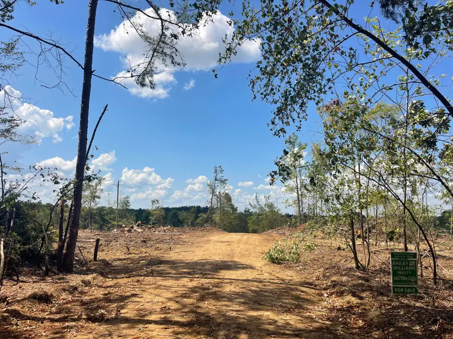 County Road 143, Coffeeville, MS 38922 - #2