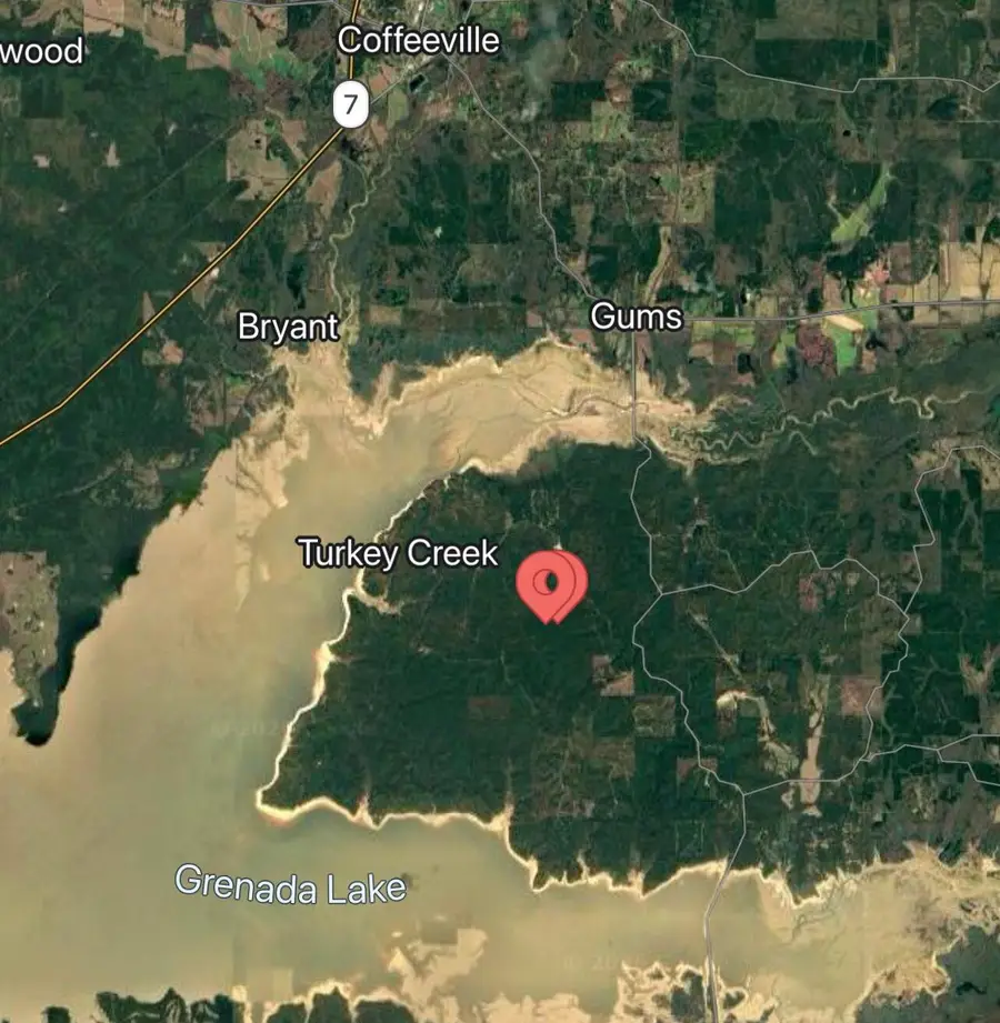County Road 143, Coffeeville, MS 38922 - #3