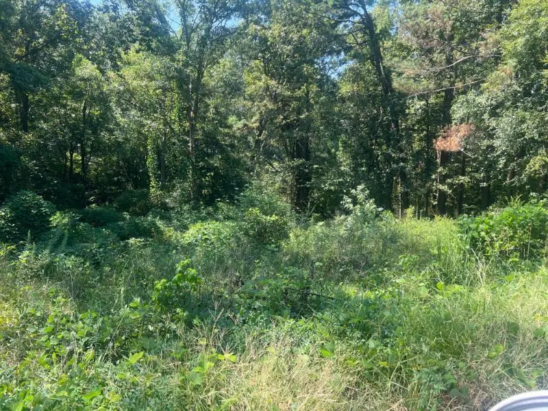 1250 Scenic Hills Road, Fulton, MS 38843 - #2