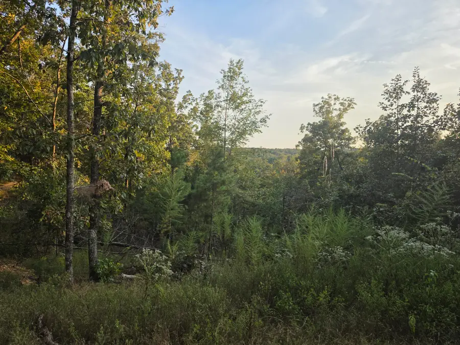 County Road 254, Iuka, MS 38852 - #2
