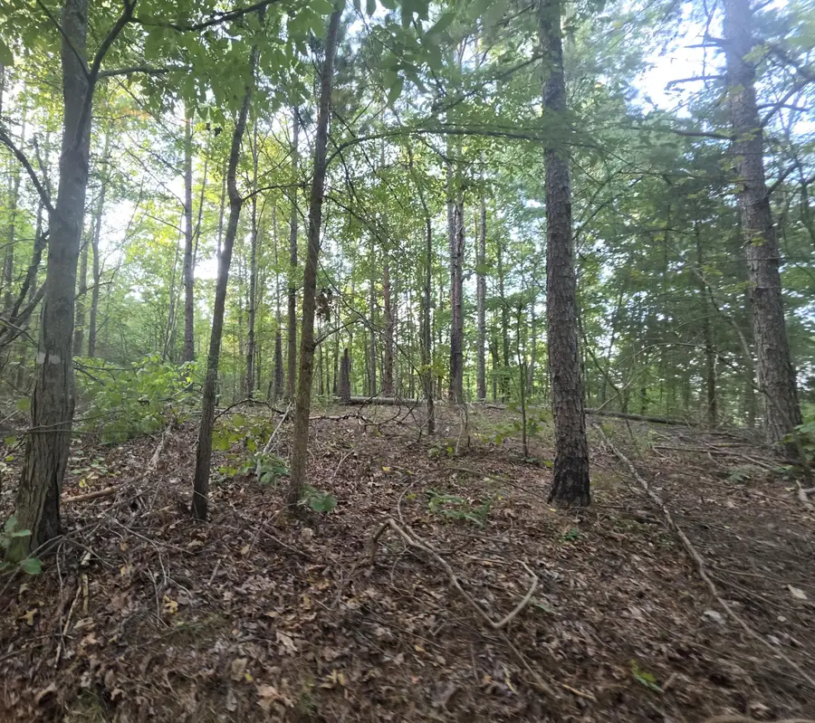 County Road 254, Iuka, MS 38852 - #3