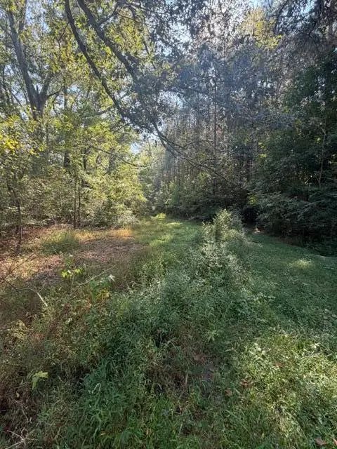 229 State Park Road, Tupelo, MS 38804 - #3