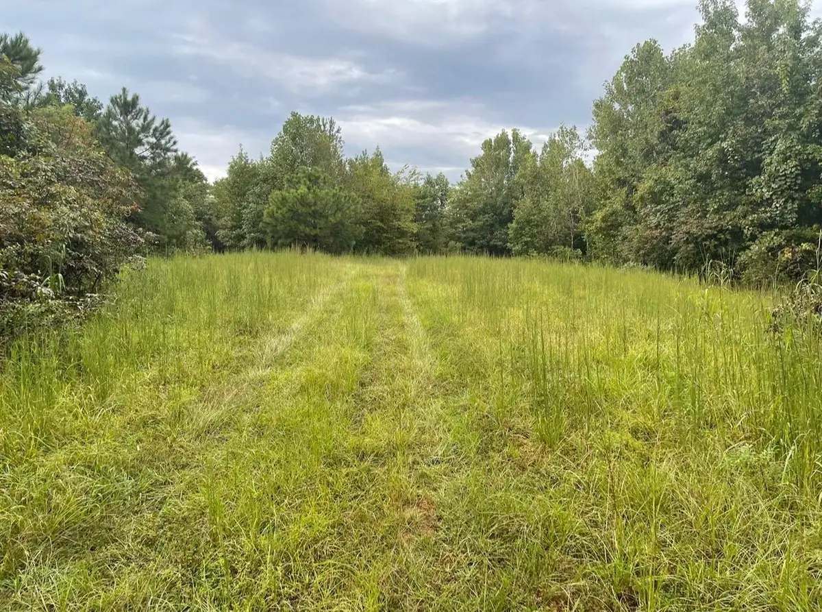 1303 County Road 153, New Albany, MS 38652 - #1