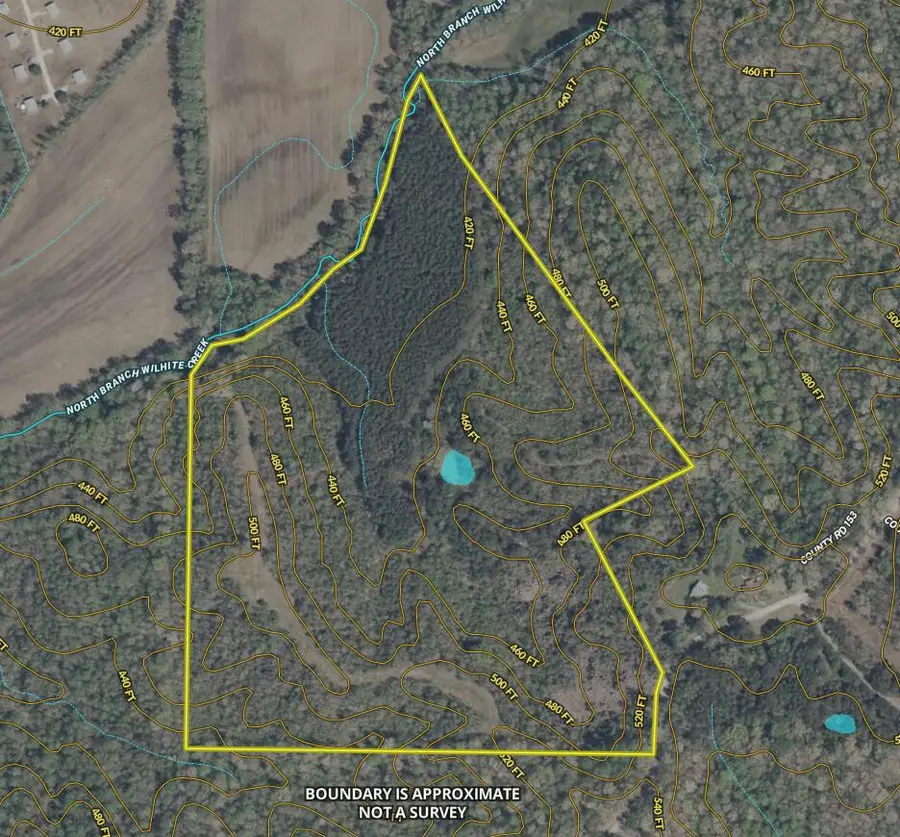 1303 County Road 153, New Albany, MS 38652 - #2
