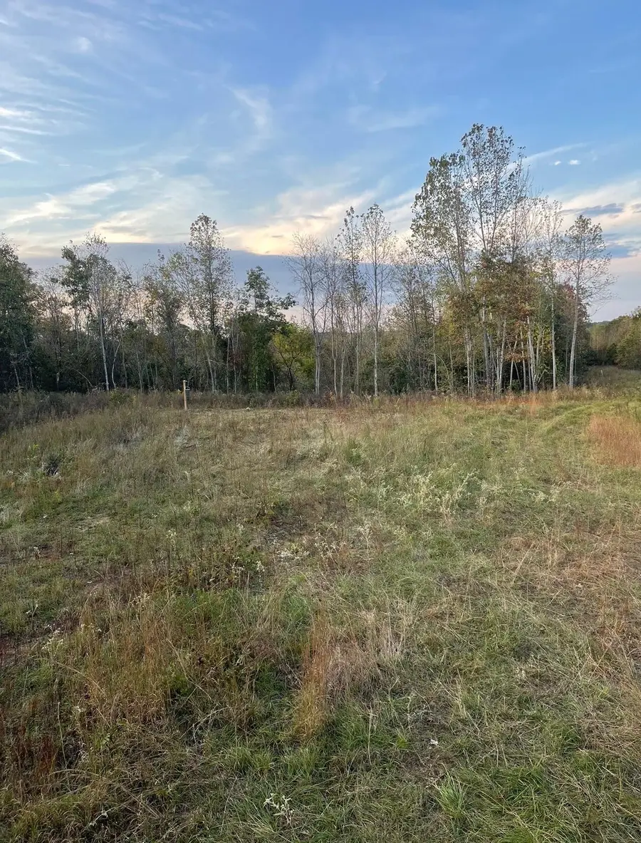 1303 County Road 153, New Albany, MS 38652 - #3