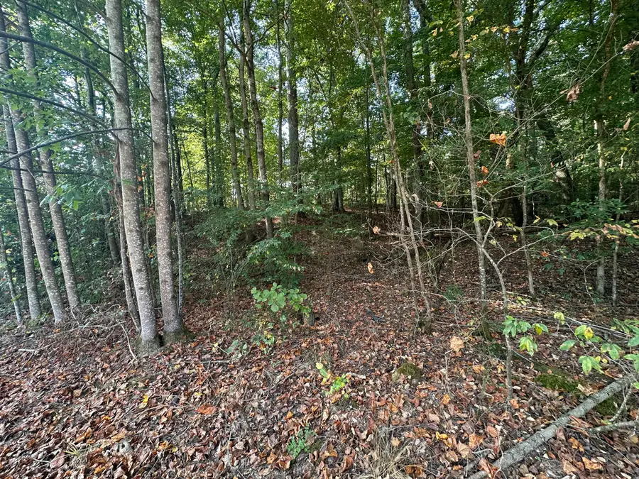 871 Margerum Tract 2 Road, Cherokee, AL 35616 - #3