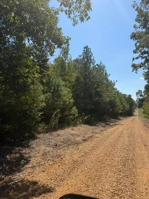 Prospect Road, Nettleton, MS 38858 - #3