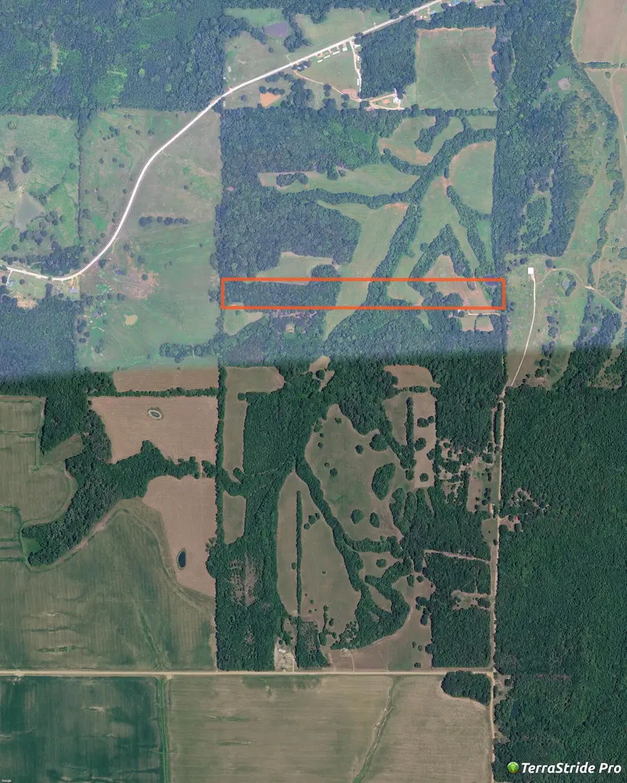 Prospect Road, Nettleton, MS 38858 - #2