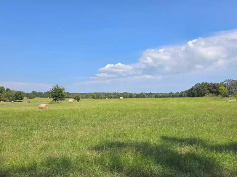524 County Road 833, Guntown, MS 38849 - #1