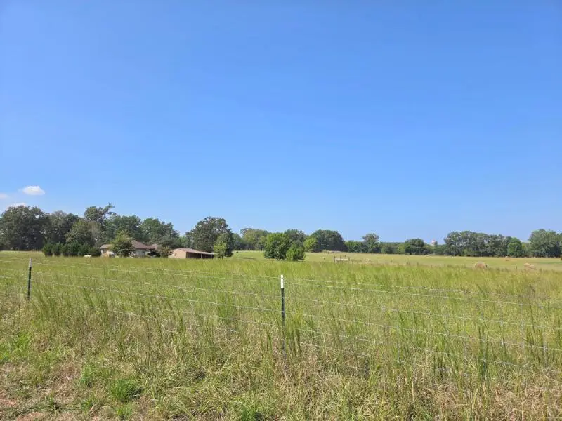 524 County Road 833, Guntown, MS 38849 - #2