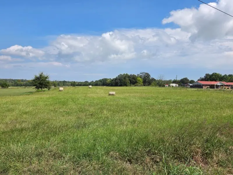 524 County Road 833, Guntown, MS 38849 - #3