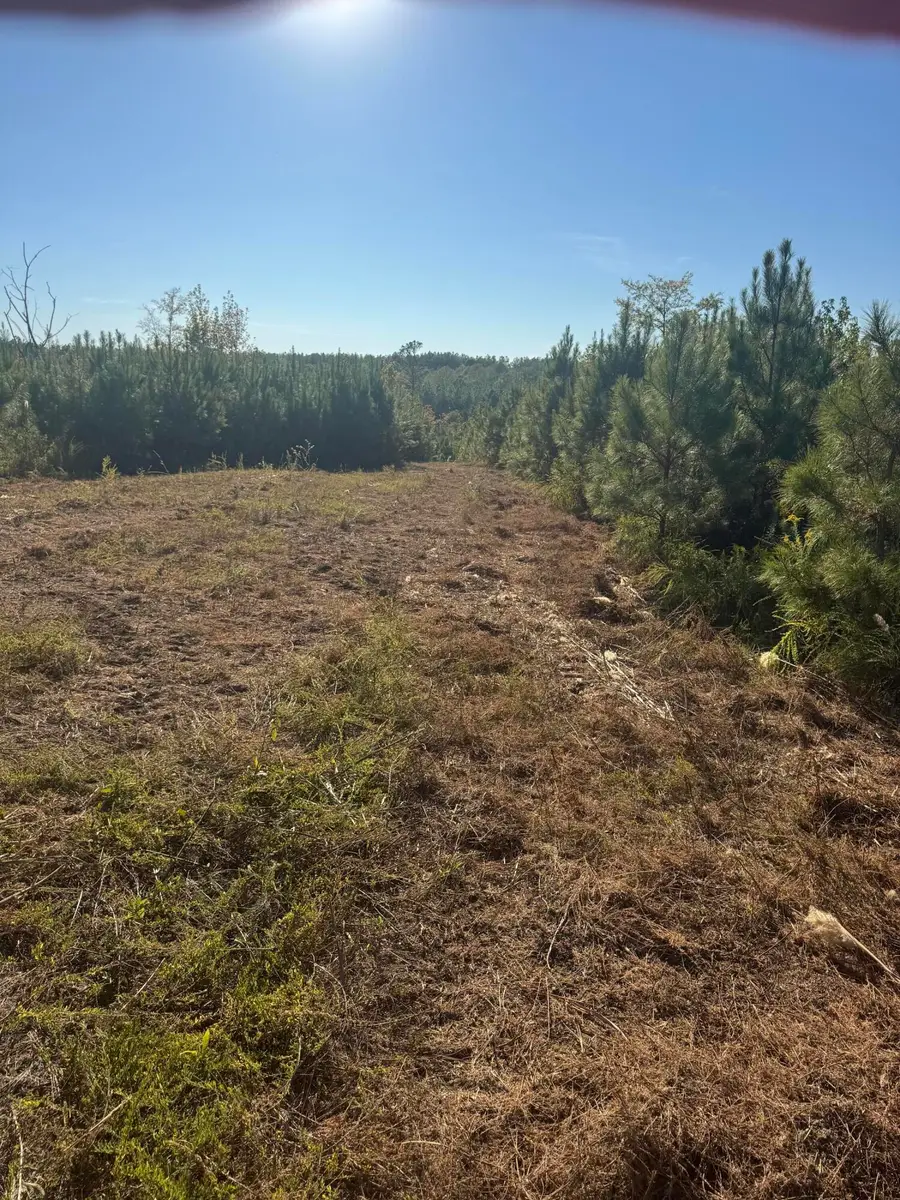New Hope Road, Pontotoc, MS 38863 - #3