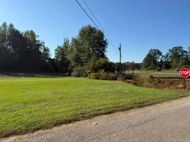 LOT 12 Willow Creek, Pontotoc, MS 38863 - #3
