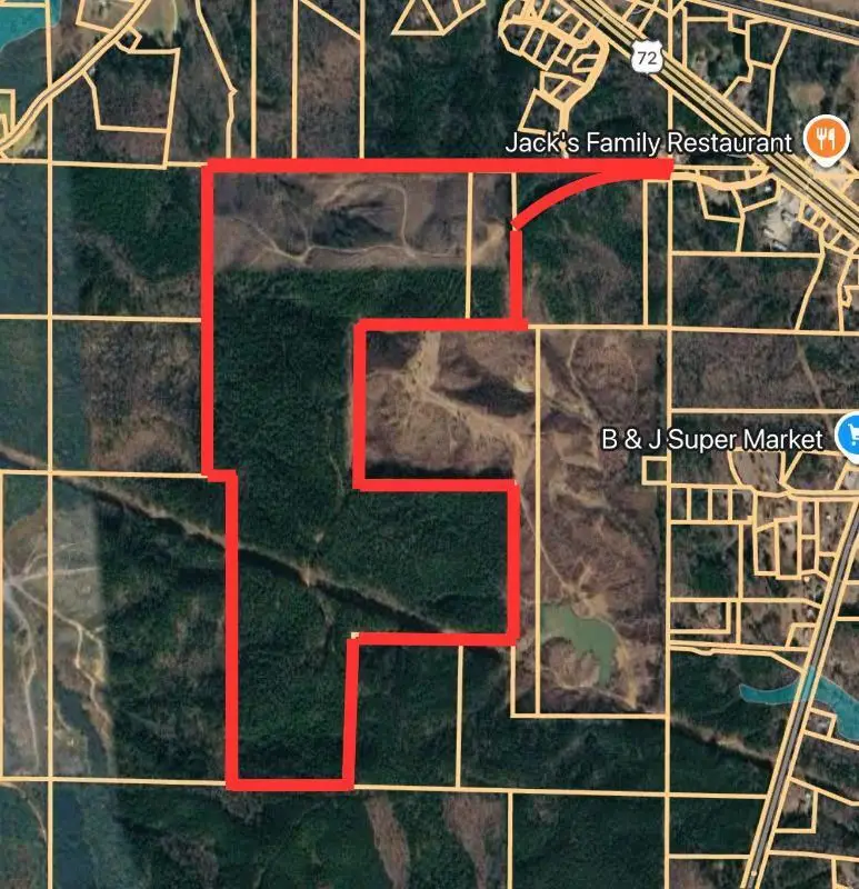 Ruby Ln., Burnsville, MS 38833 - #1