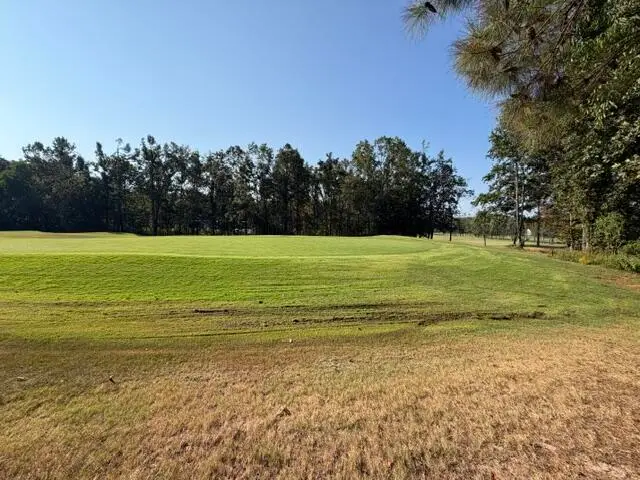 Timber Ridge Dr., Counce, TN 38326 - #1