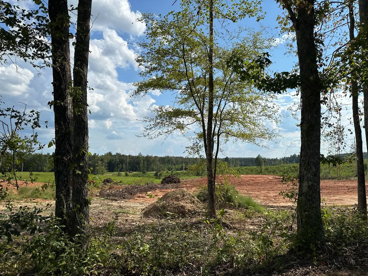 0-Lot 6 Co Rd 222, Iuka, MS 38852 - #1