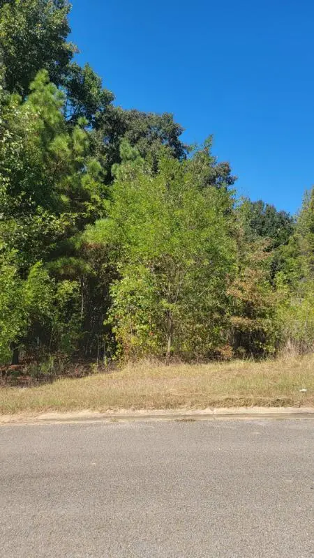 Highland Ridge Dr., Tupelo, MS 38866 - #3