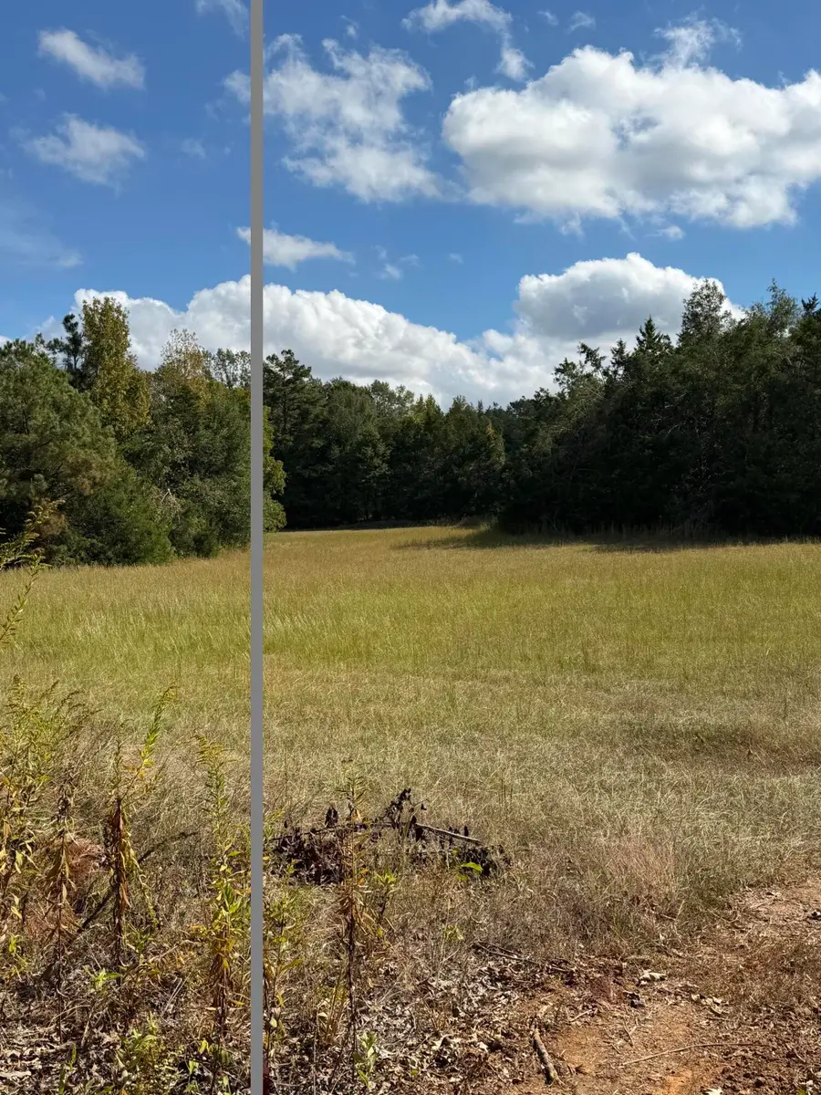 Old Highway 15, Ecru, MS 38841 - #3