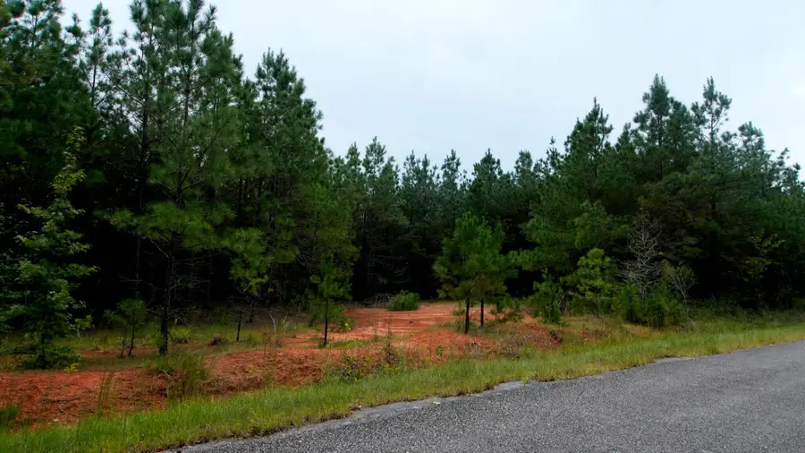 County Road 88, Dennis, MS 38838 - #3