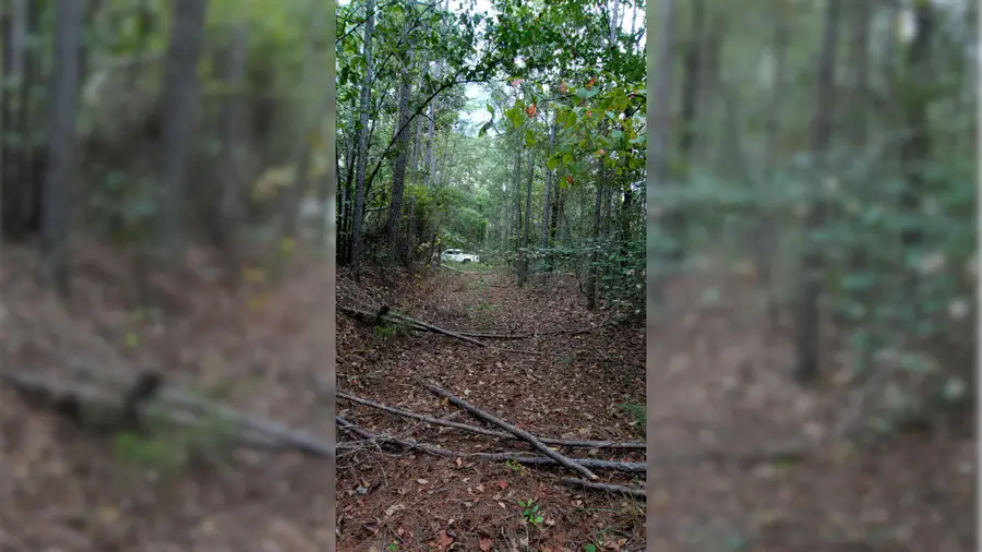 County Road 88, Dennis, MS 38838 - #3