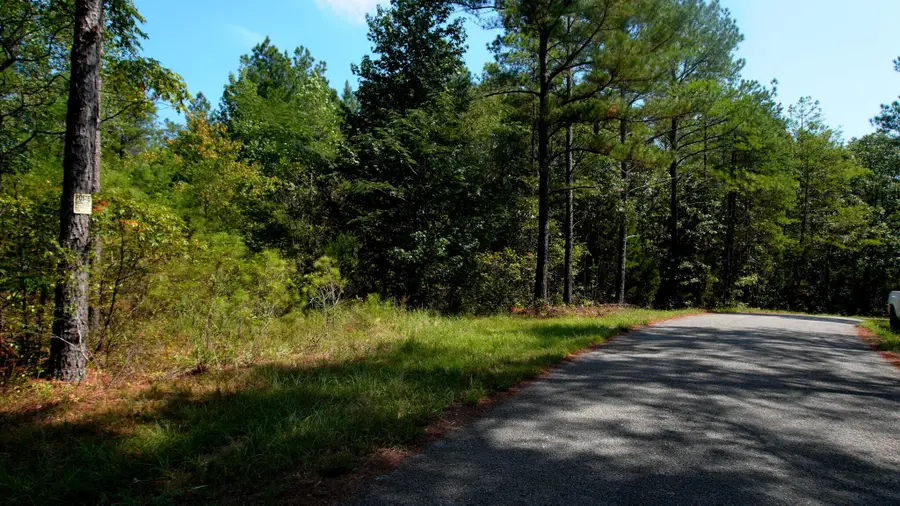 County Road 88, Dennis, MS 38838 - #3