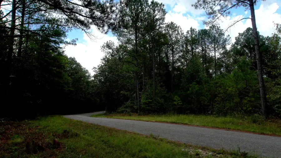 County Road 88, Dennis, MS 38838 - #3