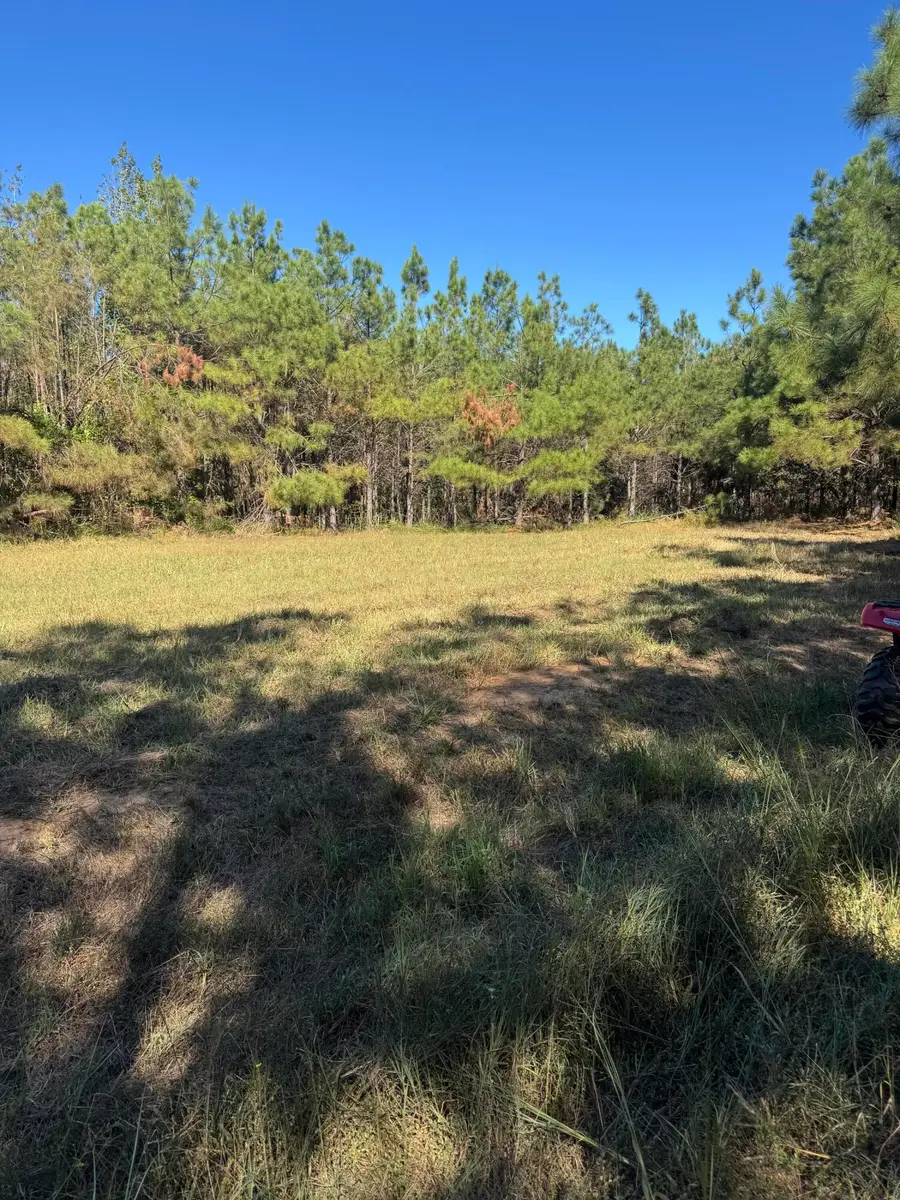Co Rd 540, Ripley, MS 38663 - #2