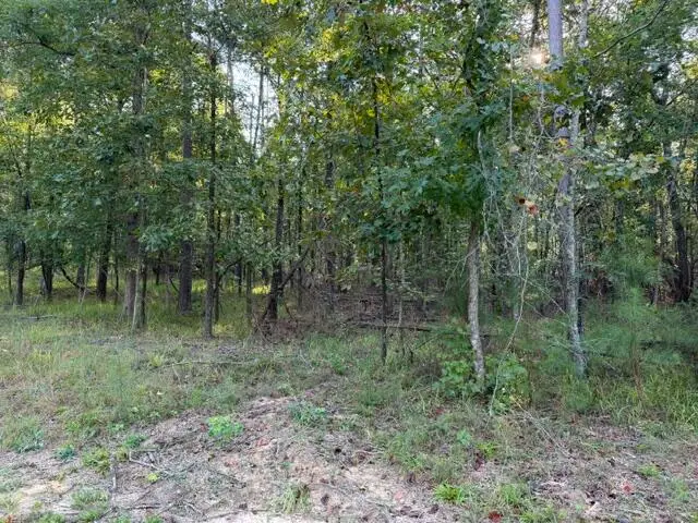 57 Timber Ridge Dr., Counce, TN 38326 - #3
