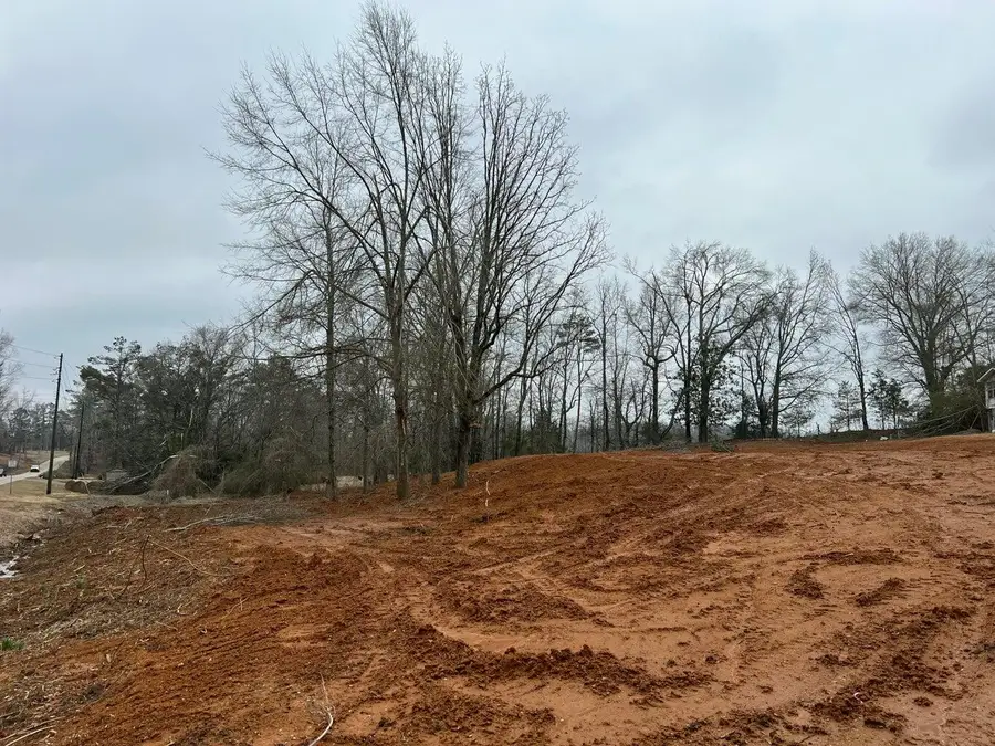 1078 Highway 348, New Albany, MS 38652 - #3