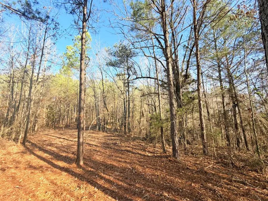 E Hwy 4, Booneville, MS 38829 - Image #2