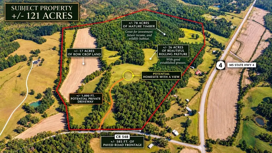 Co Rd 548, Ripley, MS 38663 - #3