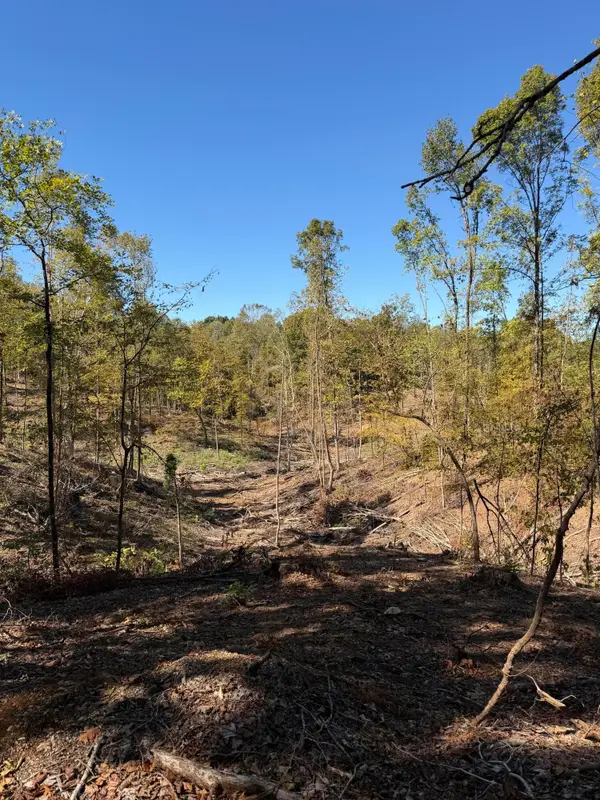 County Road 202, Blue Springs, MS 38828