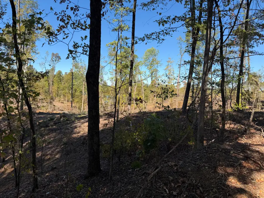 County Road 202, Blue Springs, MS 38828 - #2