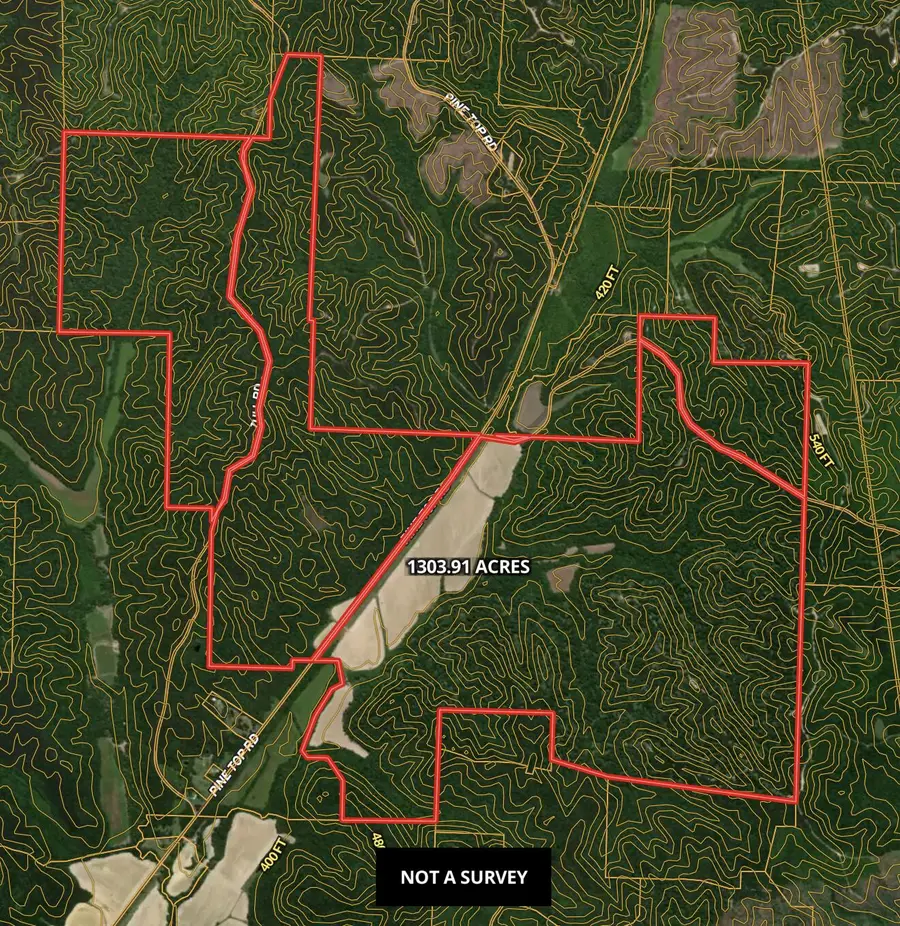 Pine Top Road, Hornsby, TN 38044 - #2