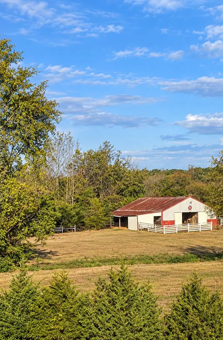 Southern Heights Road, Tupelo, MS 38801 - #2